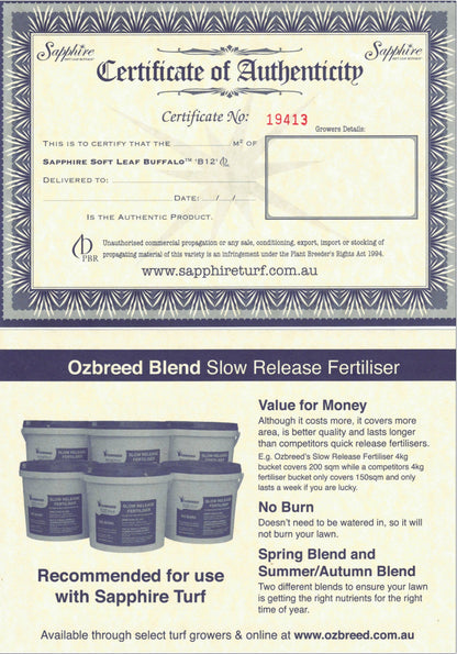 Sapphire Buffalo Turf